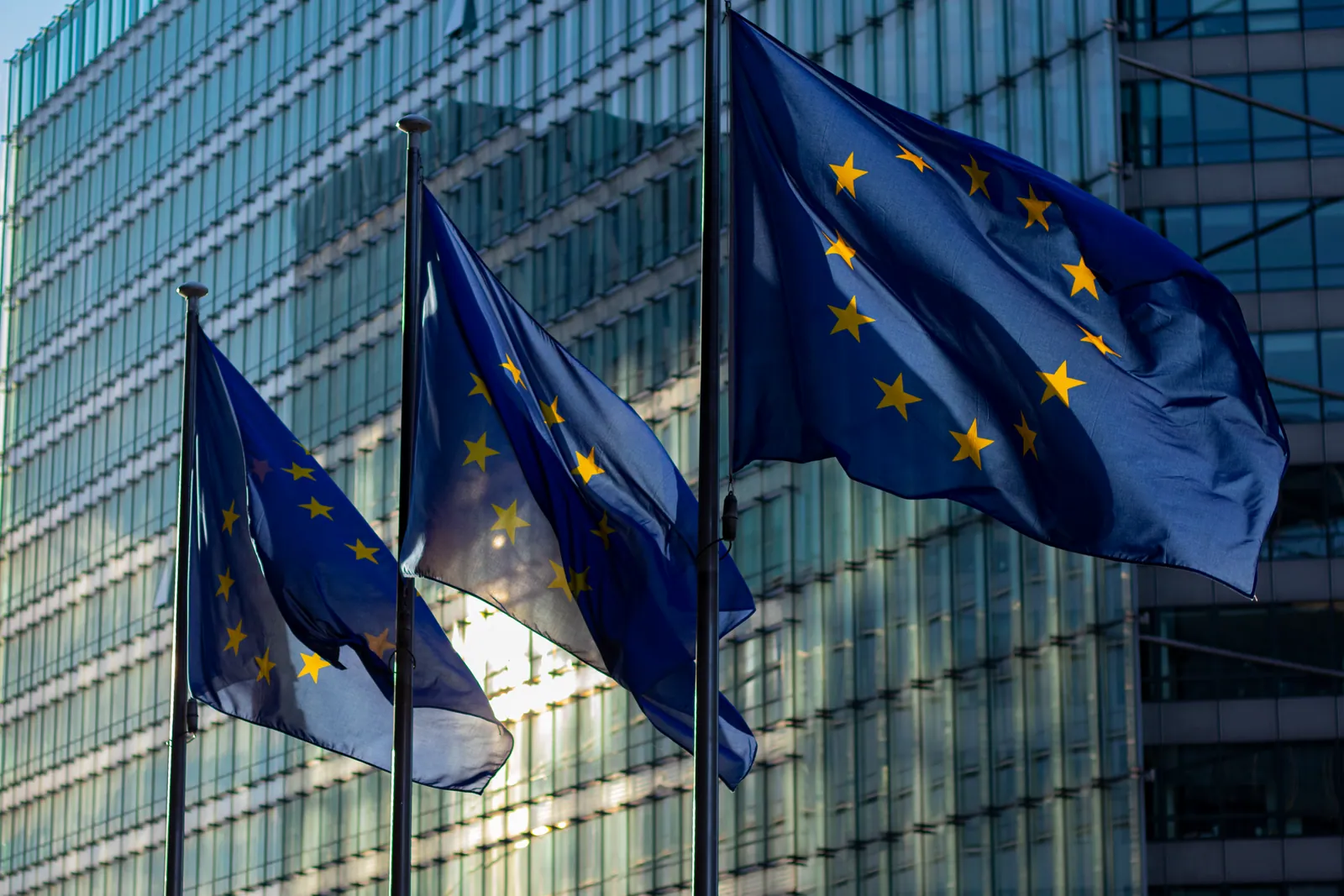 Drapeaux de l'Union européenne devant une façade vitrée